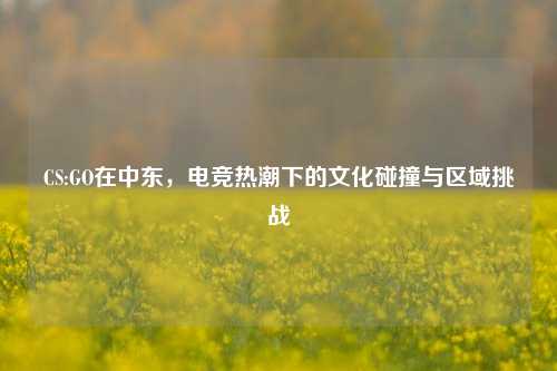 CS:GO在中东，电竞热潮下的文化碰撞与区域挑战