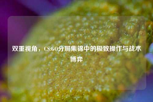双重视角，CS:GO分屏集锦中的极致操作与战术博弈