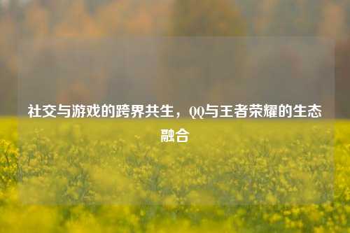 社交与游戏的跨界共生， *** 与王者荣耀的生态融合