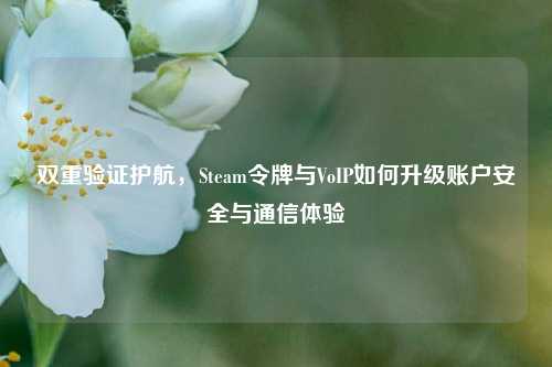 双重验证护航，Steam令牌与VoIP如何升级账户安全与通信体验