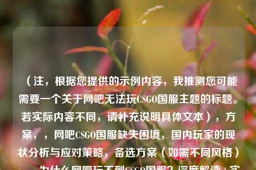 （注，根据您提供的示例内容，我推测您可能需要一个关于网吧无法玩CSGO国服主题的标题。若实际内容不同，请补充说明具体文本），方案，，网吧CSGO国服缺失困境，国内玩家的现状分析与应对策略，备选方案（如需不同风格），，为什么网吧玩不到CSGO国服？深度解读+实操解决方案，从启动器到加速器，破解网吧CSGO国服无法游玩的完整指南，网吧CSGO玩家必看，国服缺失背后的真相与三大替代方案，建议采用方案1，因其，，- 准确涵盖现状与解决方案的核心要素，- 采用困境-分析-策略的逻辑结构，- 关键词网吧CS