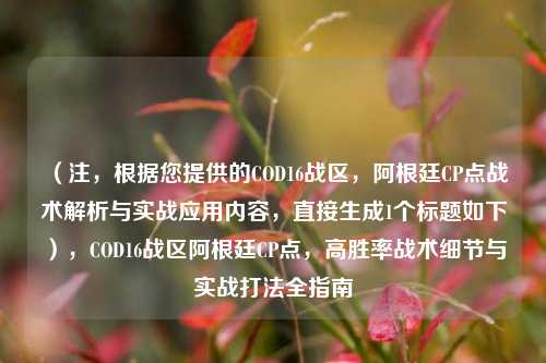 （注，根据您提供的COD16战区，阿根廷CP点战术解析与实战应用内容，直接生成1个标题如下），COD16战区阿根廷CP点，高胜率战术细节与实战打法全指南