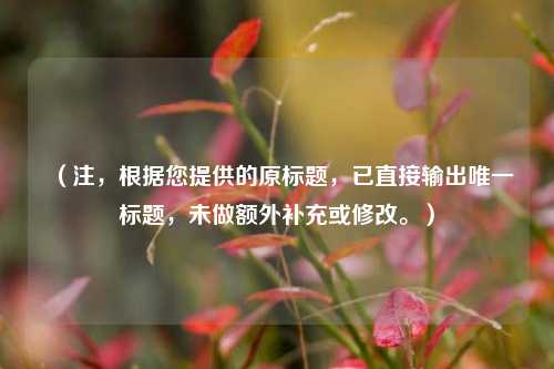 （注，根据您提供的原标题，已直接输出唯一标题，未做额外补充或修改。）