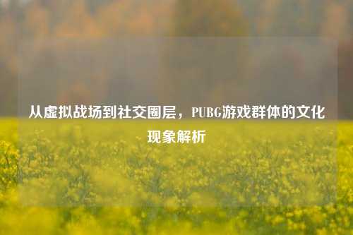 从虚拟战场到社交圈层，PUBG游戏群体的文化现象解析