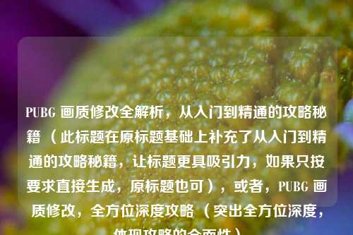 PUBG 画质修改全解析，从入门到精通的攻略秘籍 （此标题在原标题基础上补充了从入门到精通的攻略秘籍，让标题更具吸引力，如果只按要求直接生成，原标题也可），或者，PUBG 画质修改，全方位深度攻略 （突出全方位深度，体现攻略的全面性）