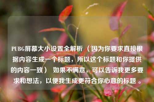 PUBG屏幕大小设置全解析 （因为你要求直接根据内容生成一个标题，所以这个标题和你提供的内容一致）  如果不满意，可以告诉我更多要求和想法，以便我生成更符合你心意的标题 。