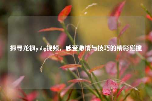 探寻龙枫pubg视频，感受***与技巧的精彩碰撞