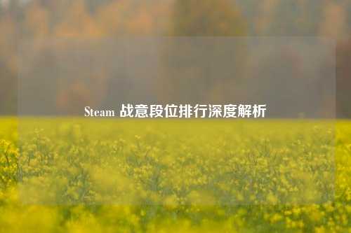 Steam 战意段位排行深度解析