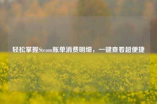 轻松掌握Steam账单消费明细，一键查看超便捷