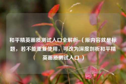 和平精英画质测试入口全解析 （原内容就是标题，若不能重复使用，可改为深度剖析和平精英画质测试入口 ）