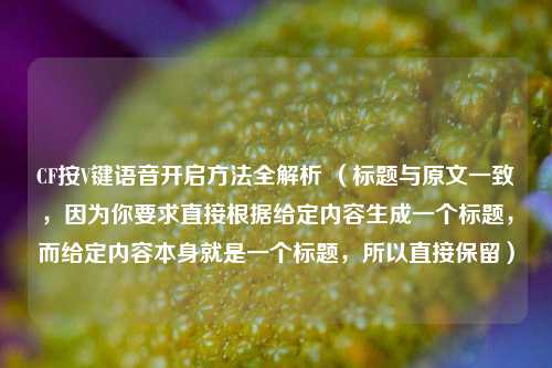 CF按V键语音开启 *** 全解析 （标题与原文一致，因为你要求直接根据给定内容生成一个标题，而给定内容本身就是一个标题，所以直接保留）