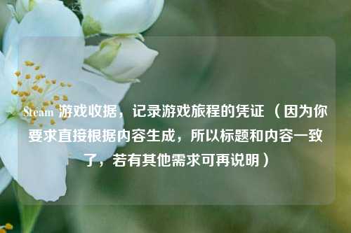 Steam 游戏收据，记录游戏旅程的凭证 （因为你要求直接根据内容生成，所以标题和内容一致了，若有其他需求可再说明）