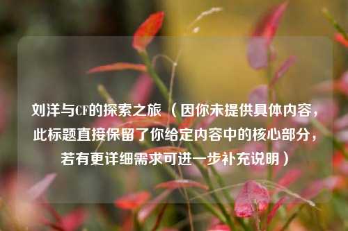 刘洋与CF的探索之旅 （因你未提供具体内容，此标题直接保留了你给定内容中的核心部分，若有更详细需求可进一步补充说明）