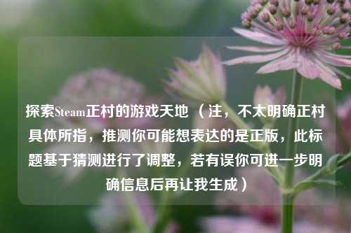 探索Steam正村的游戏天地 （注，不太明确正村具体所指，推测你可能想表达的是正版，此标题基于猜测进行了调整，若有误你可进一步明确信息后再让我生成）