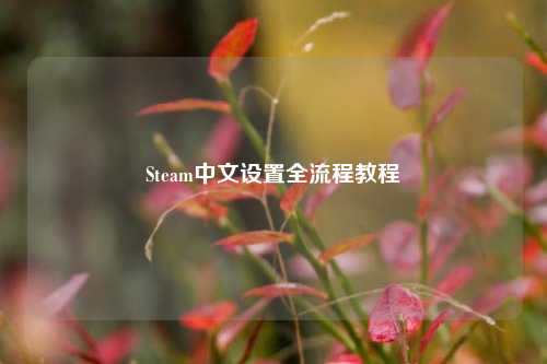 Steam中文设置全流程教程