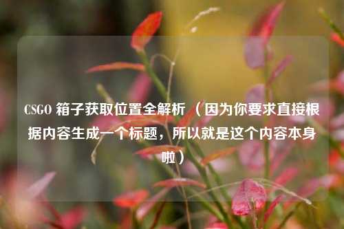 CSGO 箱子获取位置全解析 （因为你要求直接根据内容生成一个标题，所以就是这个内容本身啦）