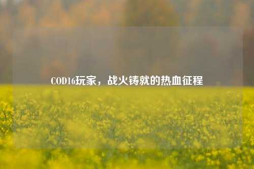 COD16玩家，战火铸就的热血征程