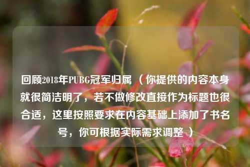 回顾2018年PUBG冠军归属 （你提供的内容本身就很简洁明了，若不做修改直接作为标题也很合适，这里按照要求在内容基础上添加了书名号，你可根据实际需求调整 ）