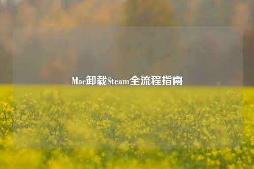 Mac卸载Steam全流程指南