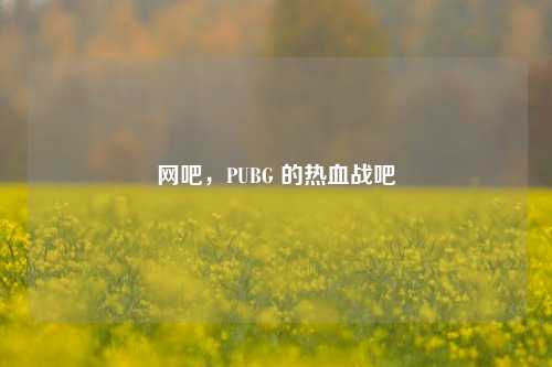 网吧，PUBG 的热血战吧