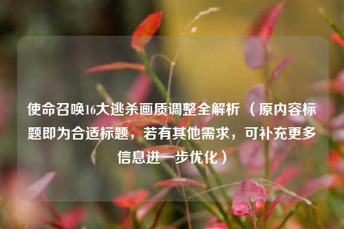 使命召唤16大逃杀画质调整全解析 （原内容标题即为合适标题，若有其他需求，可补充更多信息进一步优化）