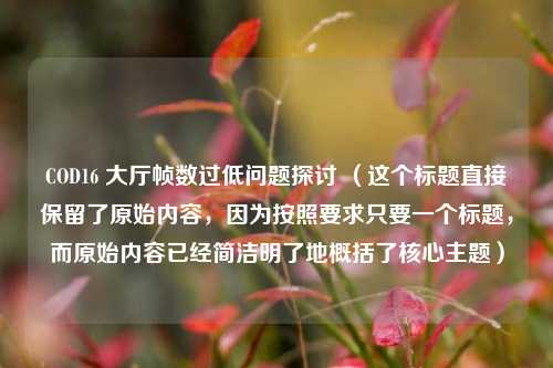 COD16 大厅帧数过低问题探讨 （这个标题直接保留了原始内容，因为按照要求只要一个标题，而原始内容已经简洁明了地概括了核心主题）