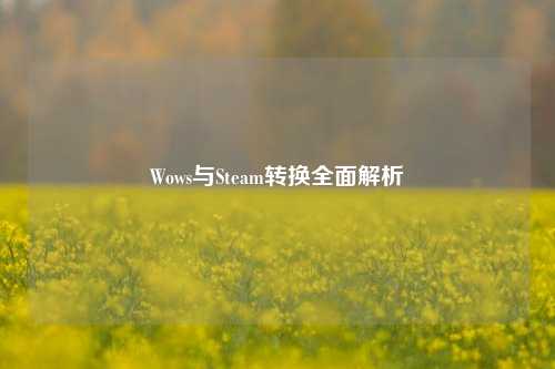 Wows与Steam转换全面解析