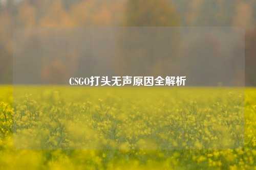 CSGO打头无声原因全解析