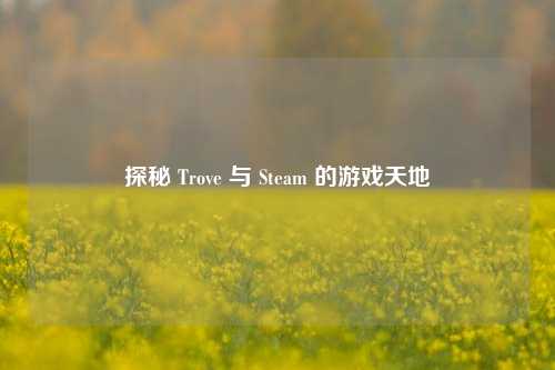 探秘 Trove 与 Steam 的游戏天地