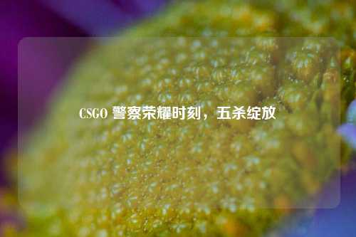 CSGO 警察荣耀时刻，五杀绽放