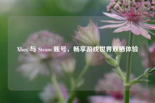 Xbox 与 Steam 账号，畅享游戏世界双栖体验