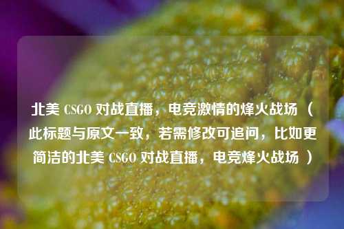 北美 CSGO 对战直播，电竞***的烽火战场 （此标题与原文一致，若需修改可追问，比如更简洁的北美 CSGO 对战直播，电竞烽火战场 ）