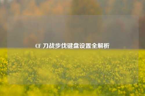 CF 刀战步伐键盘设置全解析