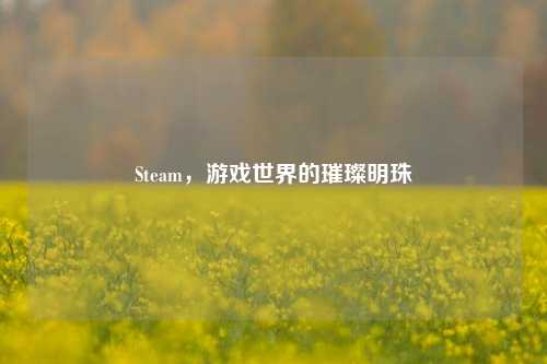 Steam，游戏世界的璀璨明珠