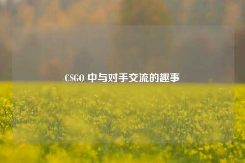 CSGO 中与对手交流的趣事