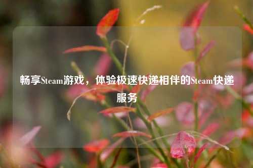 畅享Steam游戏，体验极速快递相伴的Steam快递服务