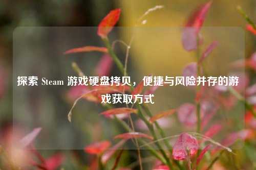 探索 Steam 游戏硬盘拷贝，便捷与风险并存的游戏获取方式