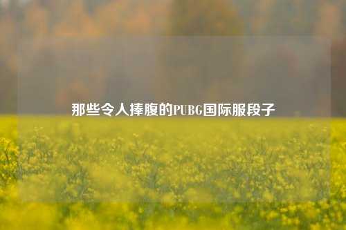 那些令人捧腹的PUBG国际服段子