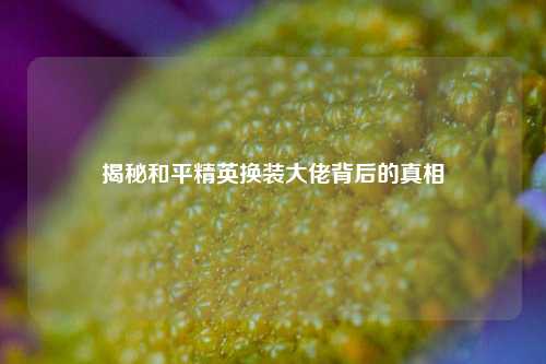 揭秘和平精英换装大佬背后的真相