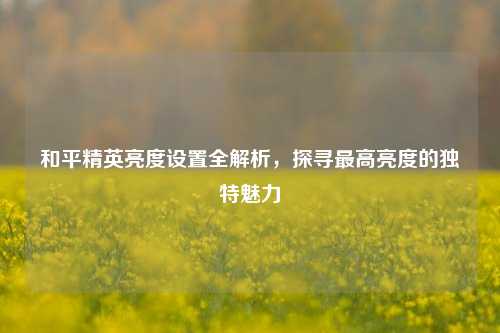 和平精英亮度设置全解析，探寻更高亮度的独特魅力