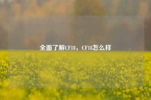 全面了解CF18，CF18怎么样