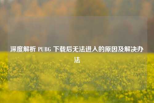 深度解析 PUBG 下载后无法进入的原因及解决办法