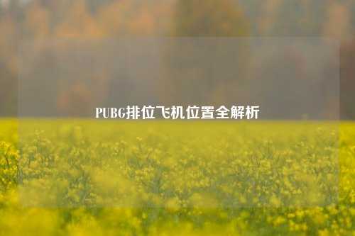 PUBG排位飞机位置全解析