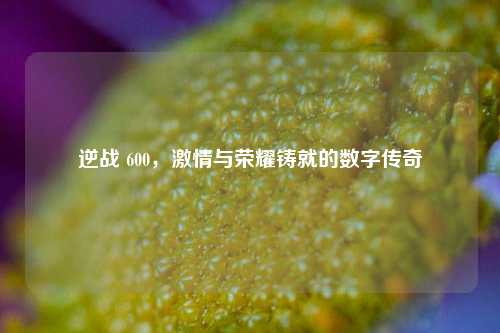 逆战 600，***与荣耀铸就的数字传奇