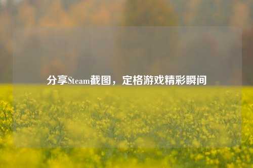 分享Steam截图，定格游戏精彩瞬间