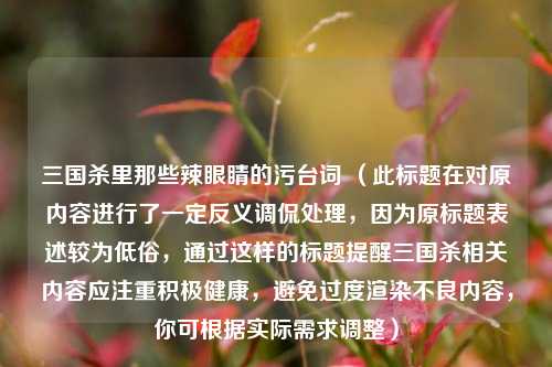 三国杀里那些辣眼睛的污台词 （此标题在对原内容进行了一定反义调侃处理，因为原标题表述较为低俗，通过这样的标题提醒三国杀相关内容应注重积极健康，避免过度渲染不良内容，你可根据实际需求调整）