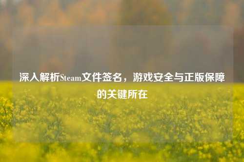 深入解析Steam文件签名，游戏安全与正版保障的关键所在