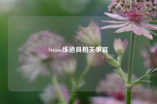 Steam练道具相关事宜