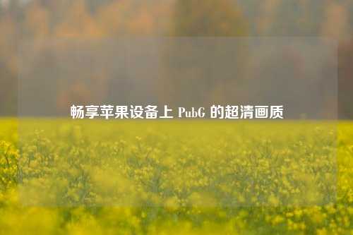 畅享苹果设备上 PubG 的超清画质
