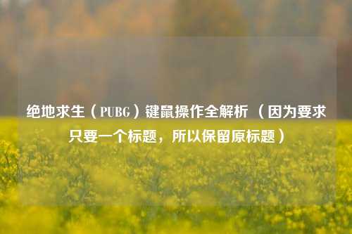绝地求生（PUBG）键鼠操作全解析 （因为要求只要一个标题，所以保留原标题）